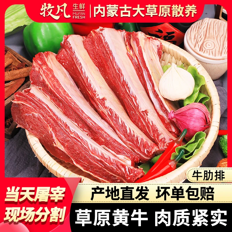 【内蒙草原牛肋排】内蒙古草原散养牛肉牛肋排正宗原切