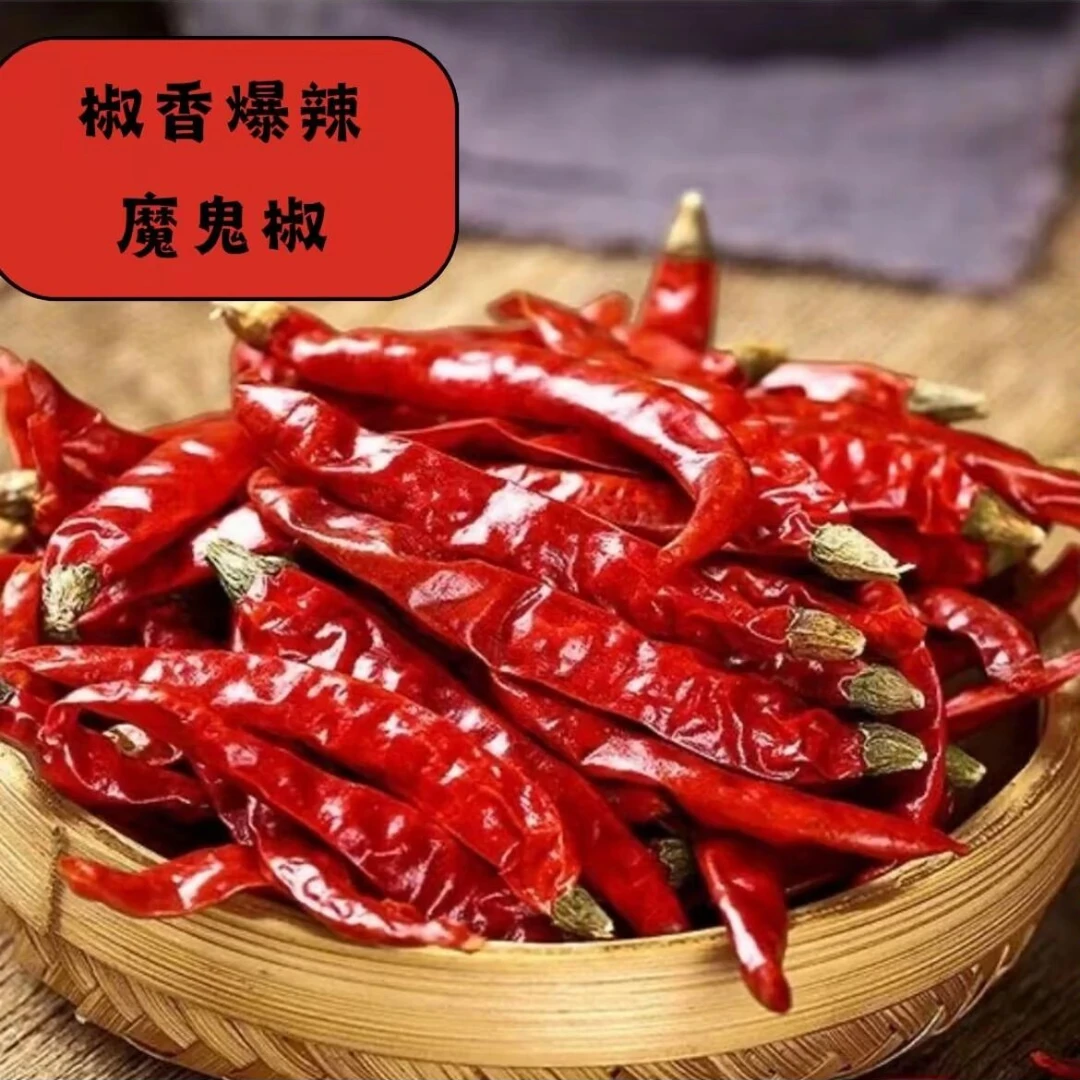 【特辣爆辣】 印度S17魔鬼椒特辣魔鬼椒产地直供增辣椒段超辣魔鬼椒