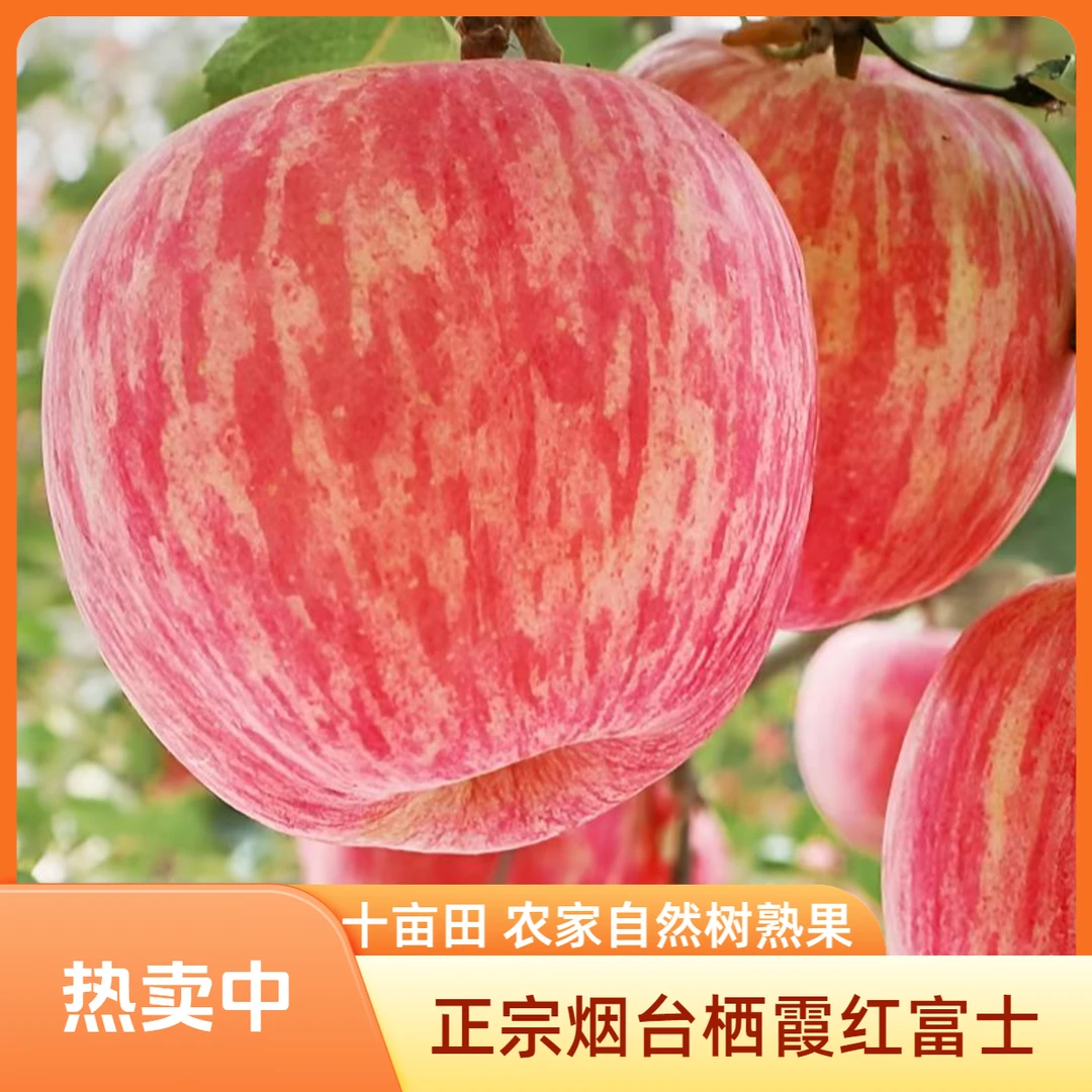 烟台条纹红富士水果产地直发正宗山东栖霞苹果新鲜脆甜10斤包邮