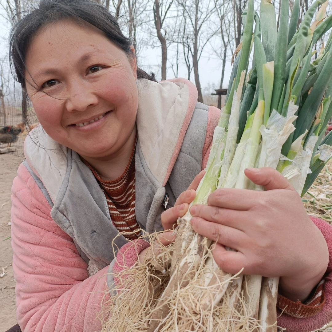 山西运城 陆地大葱 净重3斤 9.9包邮