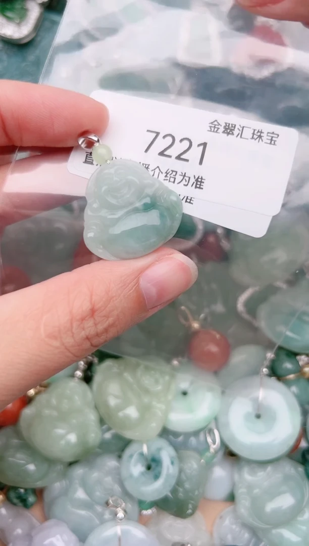 【闪购商品】翡翠颈饰未镶嵌7221......
