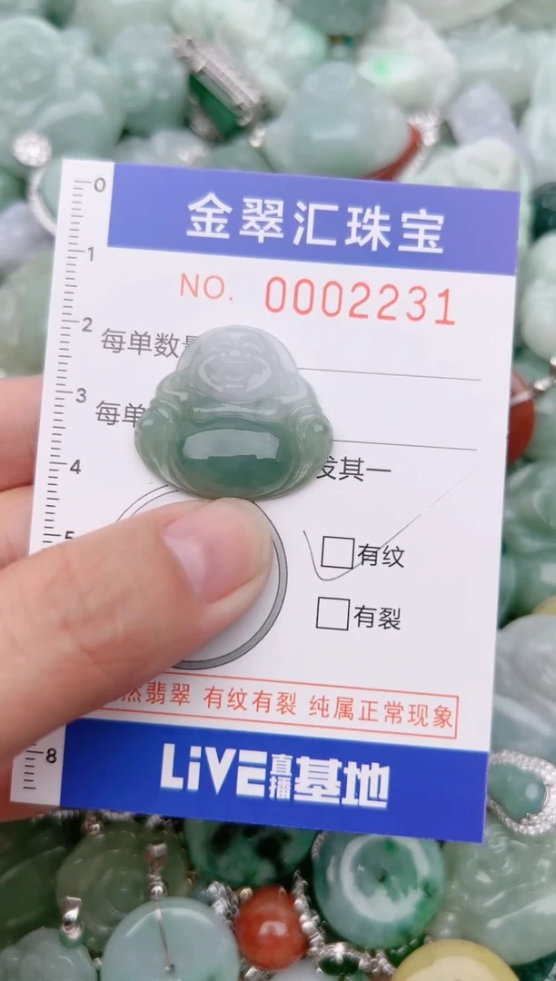 【闪购商品】翡翠颈饰未镶嵌2231......1