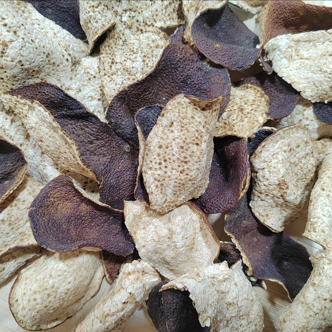 （断皮）2019新会天马圈枝冬后