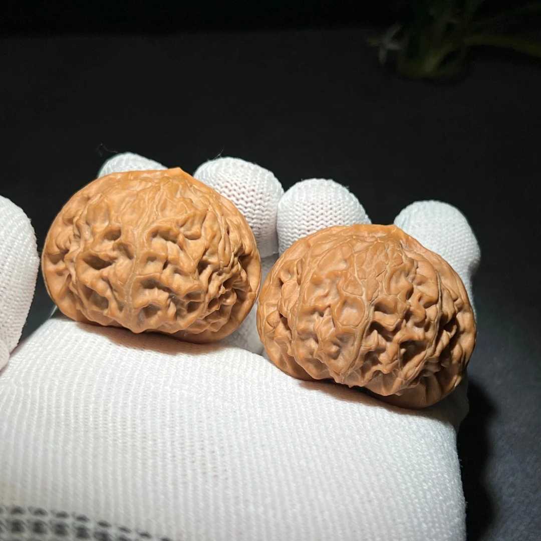 宫灯狮子头文玩核桃精品野生小众经典上色快纹理浅而精美圆润饱满