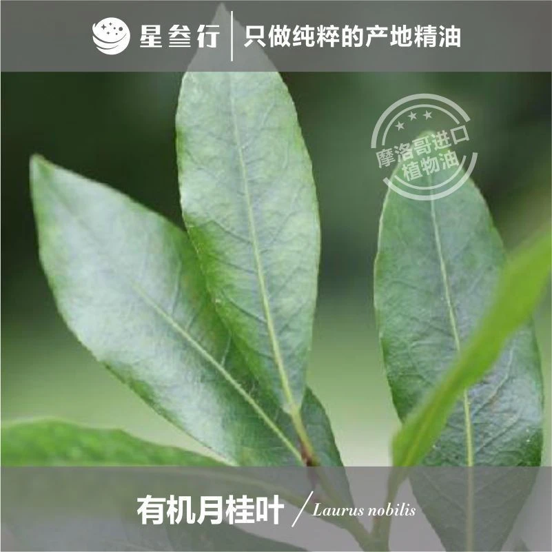 5ml小样有机月桂叶精油（直播间福利） 摩洛哥产地精油原料