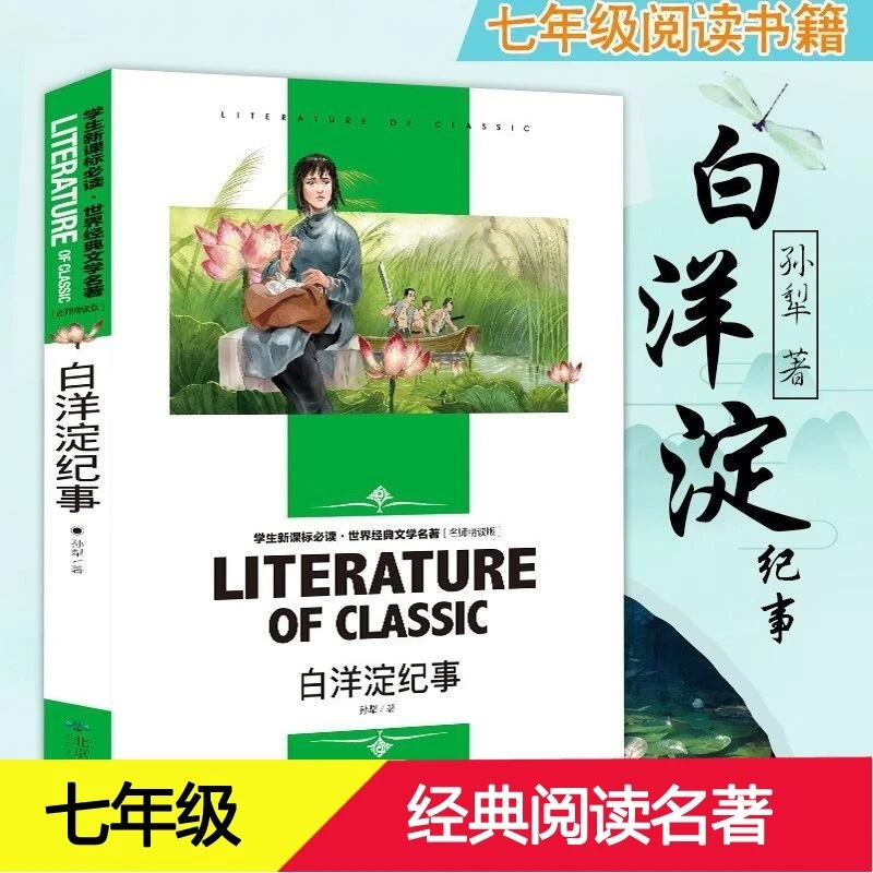 白洋淀纪事书正版书籍图书课外读物课外阅读名著中小学读物N
