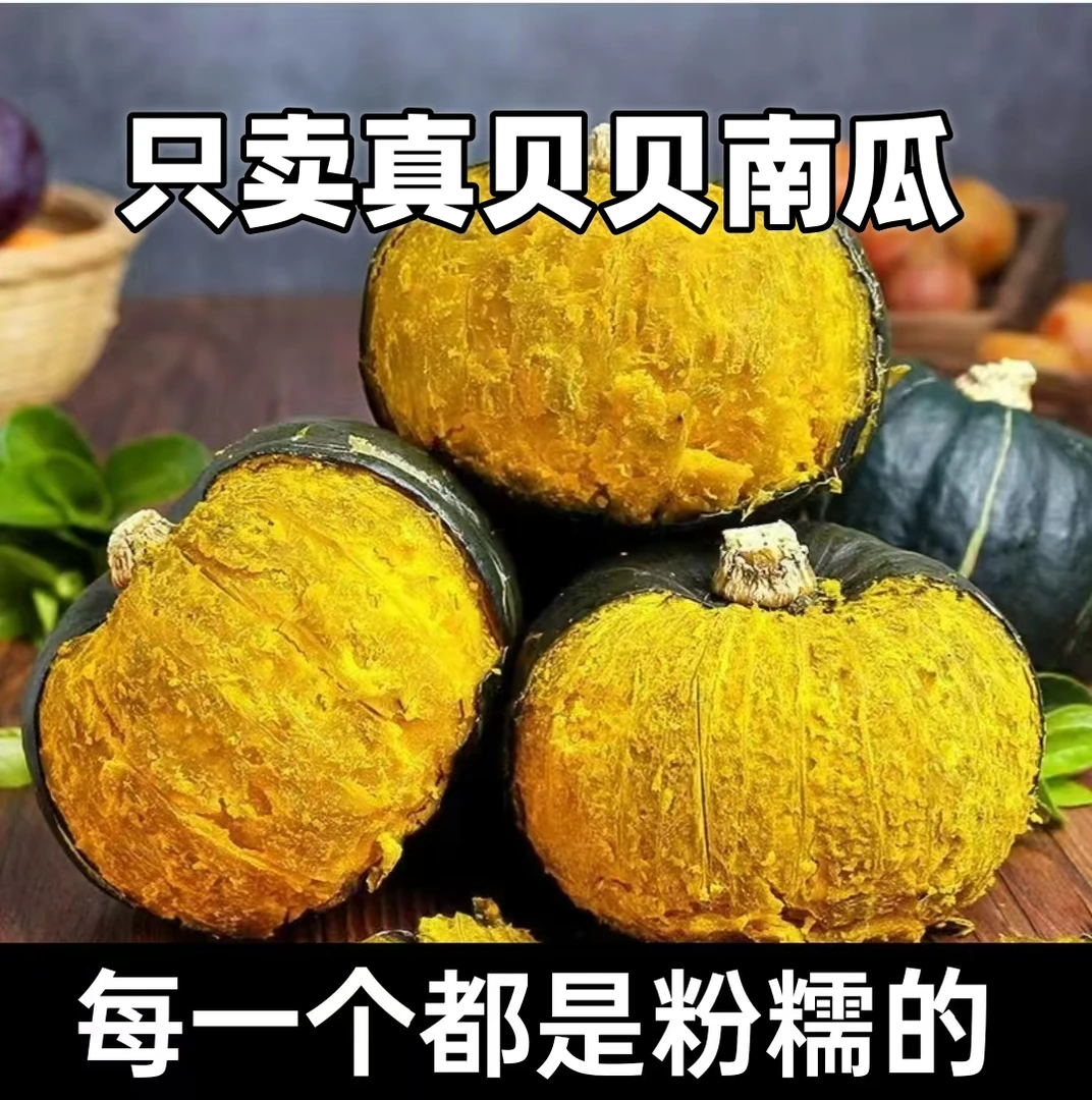 【坏果包赔】正宗真贝贝板栗味南瓜婴儿辅食粉糯香甜(不粉包赔)