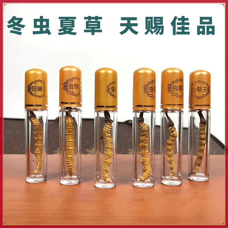 10送1 冬虫夏草整草头期新干虫草中秋送礼正品藏区青海非那曲虫草