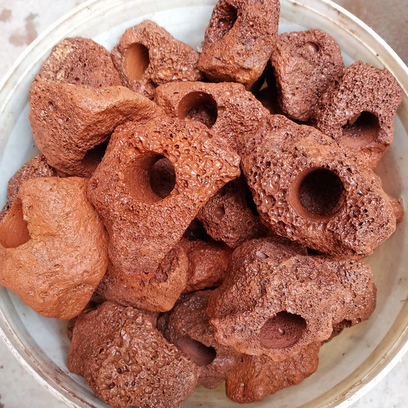 火山石定植环鱼缸装饰净化水质水培植物打孔固定器水草底座