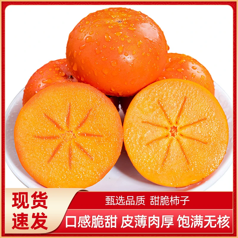 【果园直发】阳丰脆甜柿子带箱5斤14-20个SS
