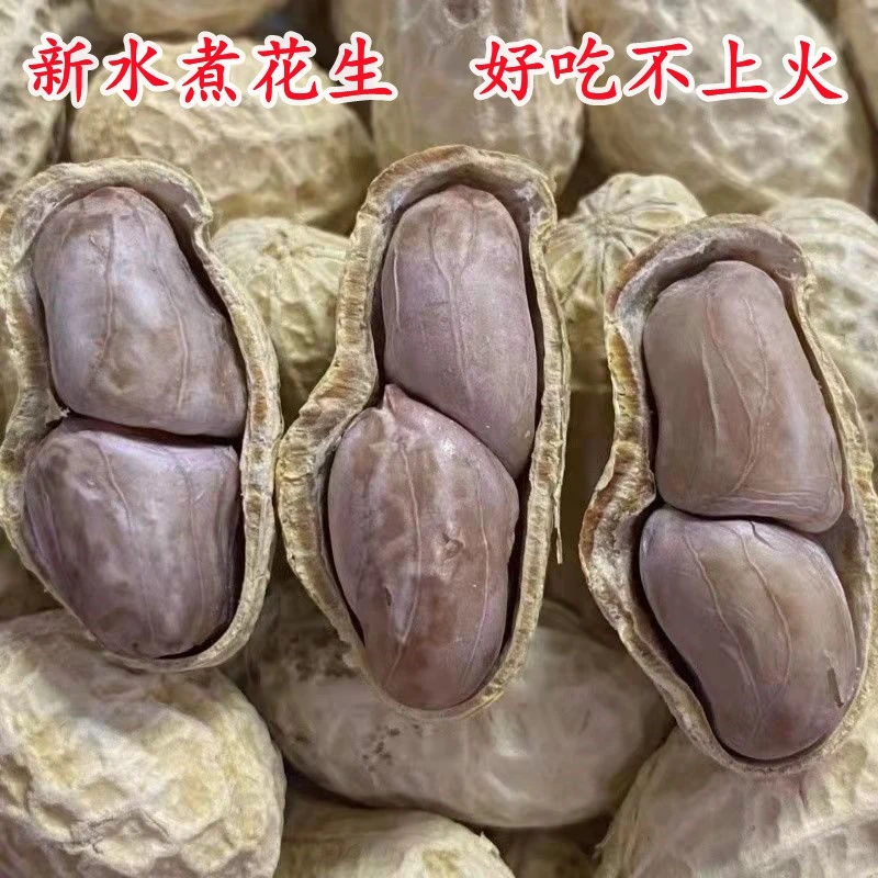 2025年新水煮精选晒干花生好吃白晒花生原味咸香多味咸干花生1斤