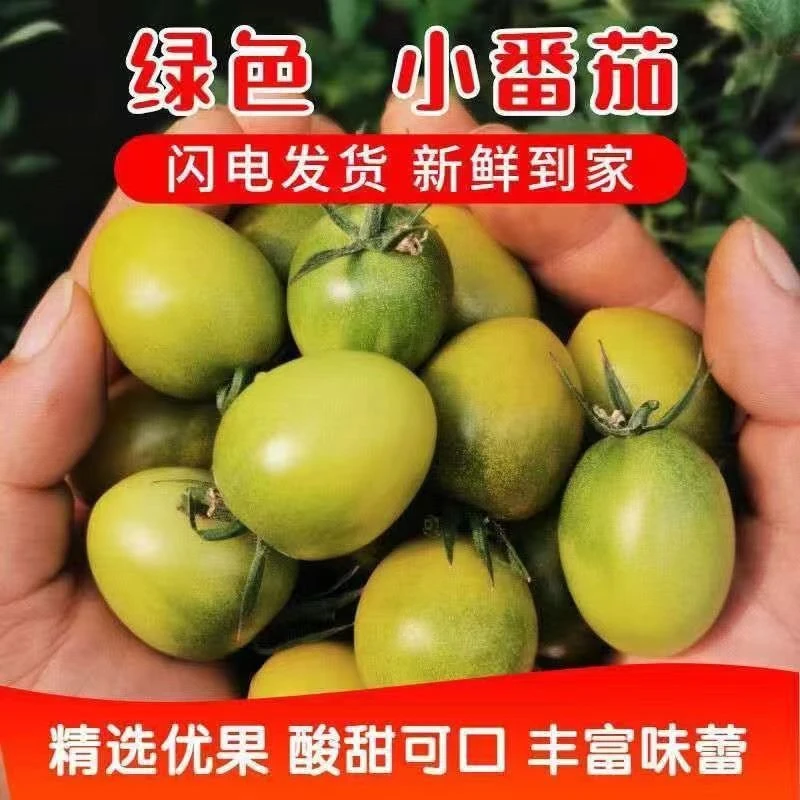 【坏果包赔】青口绿色小番茄新鲜饱满酸甜自然多汁爽口口感发货清爽
