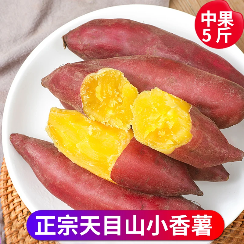 临安天目小香薯板栗红薯新鲜小番薯甜地瓜产地直销