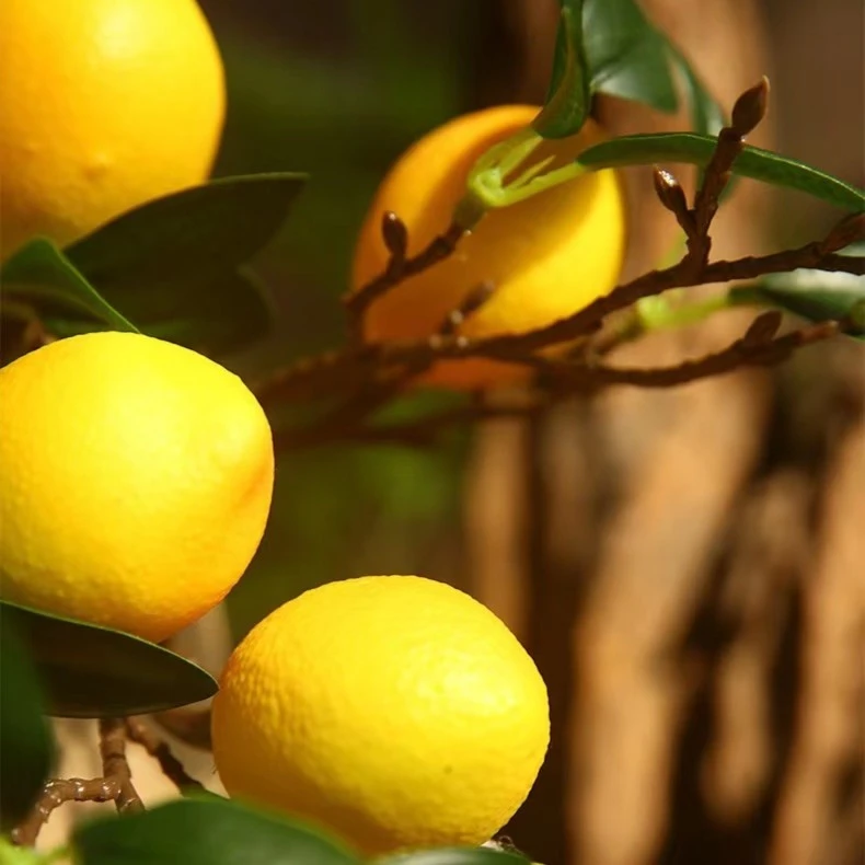 柠檬仿真 清新风格客厅厨房窗饰 田园风现代简约风家庭装饰单只