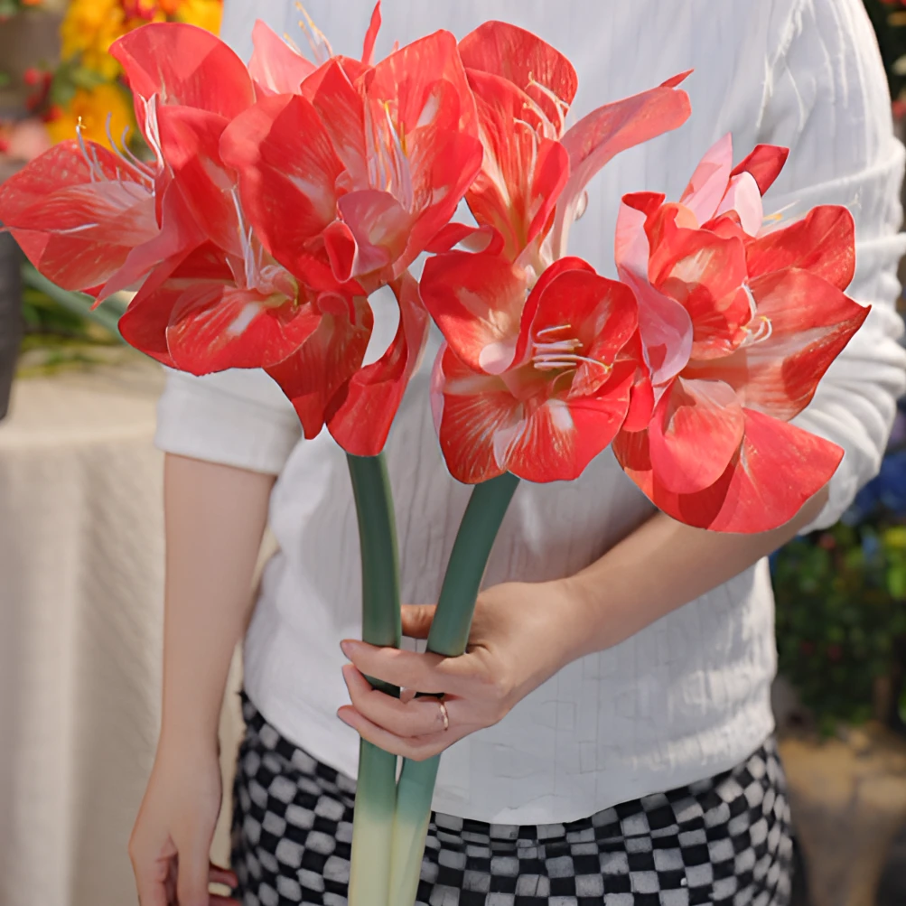 君子兰 手感保湿 仿真花 年宵花 高级感简约风客厅花