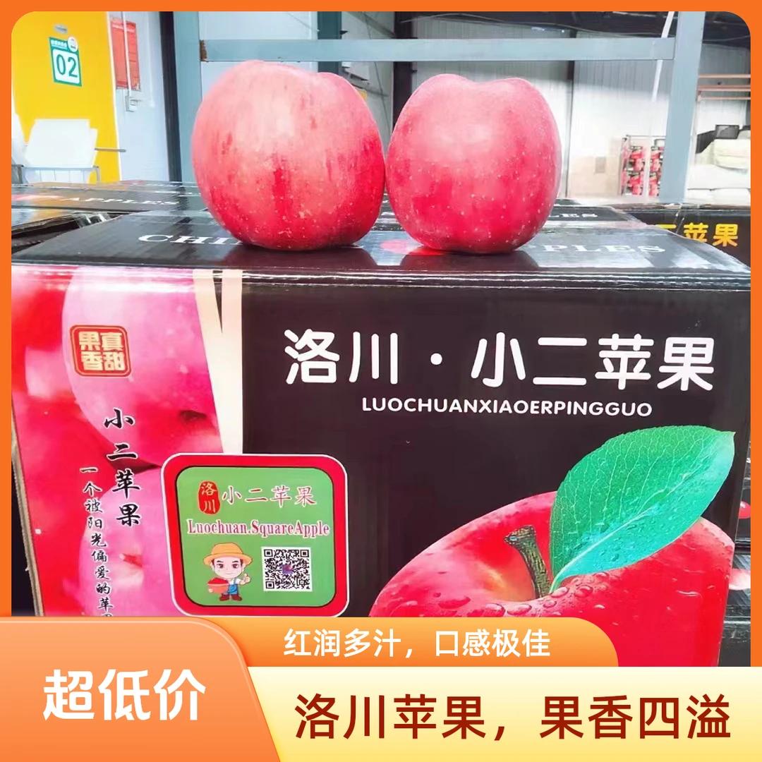 时令应季[小二苹果]陕西洛川红富士  农家果园 脆甜多汁 产地直发