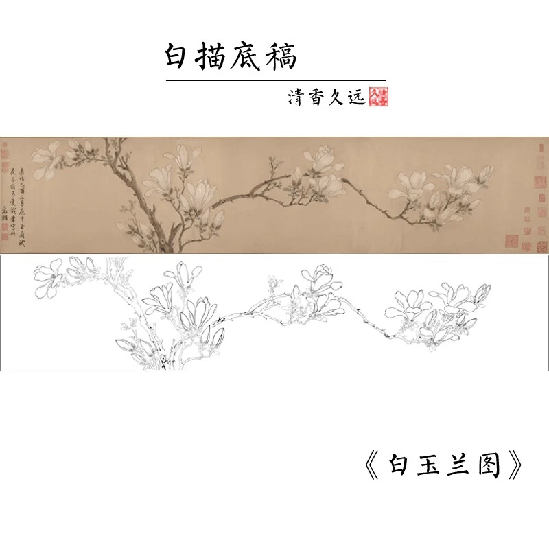 高清工笔画白描底稿古画长卷多种尺寸临摹透稿文徵明《白玉兰图》