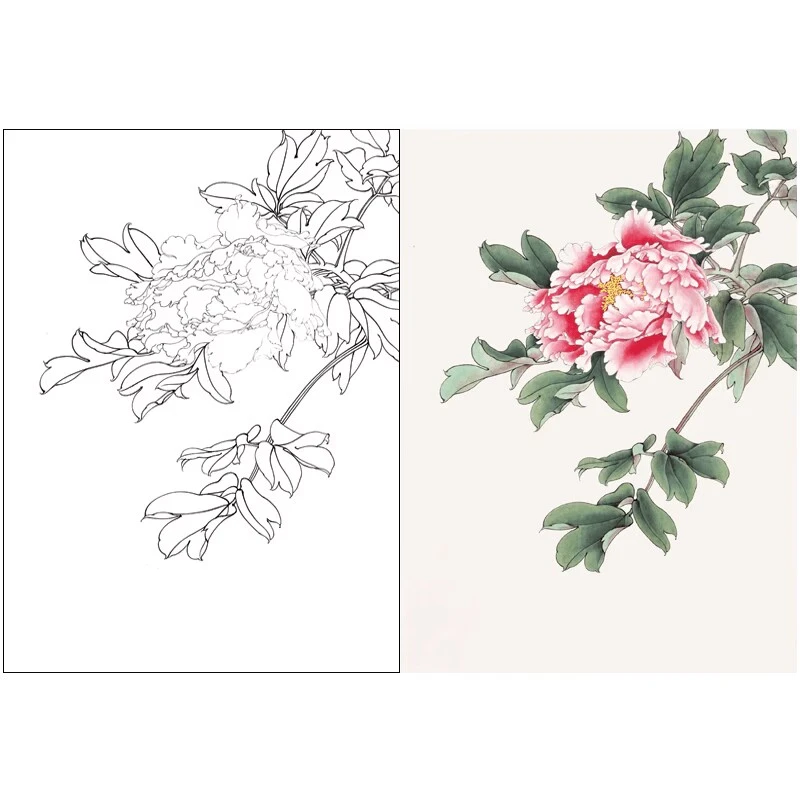 有步骤说明工笔画打印底稿陈军春暖花开小品牡丹工笔白描底稿769L