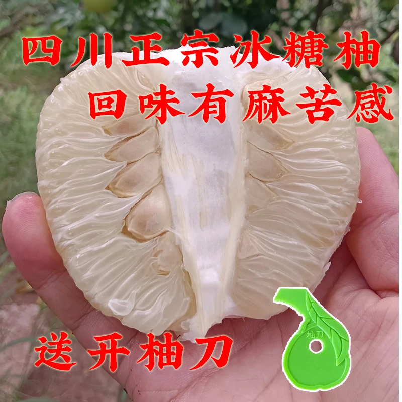 正宗老树冰糖柚白心柚小苦柚脆甜多汁安江雪峰柚麻麻柚水晶柚四川