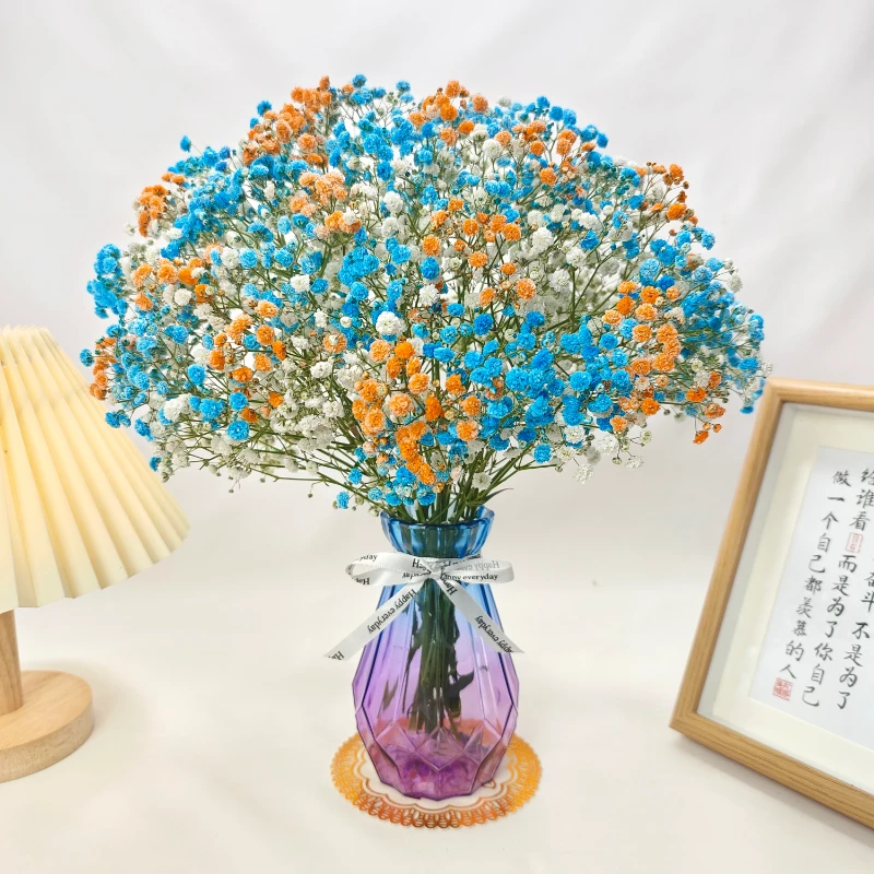 满天星鲜花束干花小清新彩色满天星鲜花干花束真花 懒人养花期长