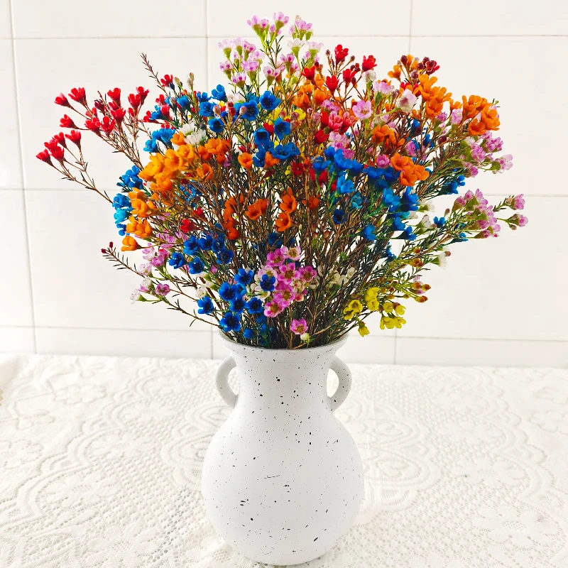 混色A级澳洲腊梅鲜花腊梅花年宵花喜庆云南鲜花基地直发新鲜花卉