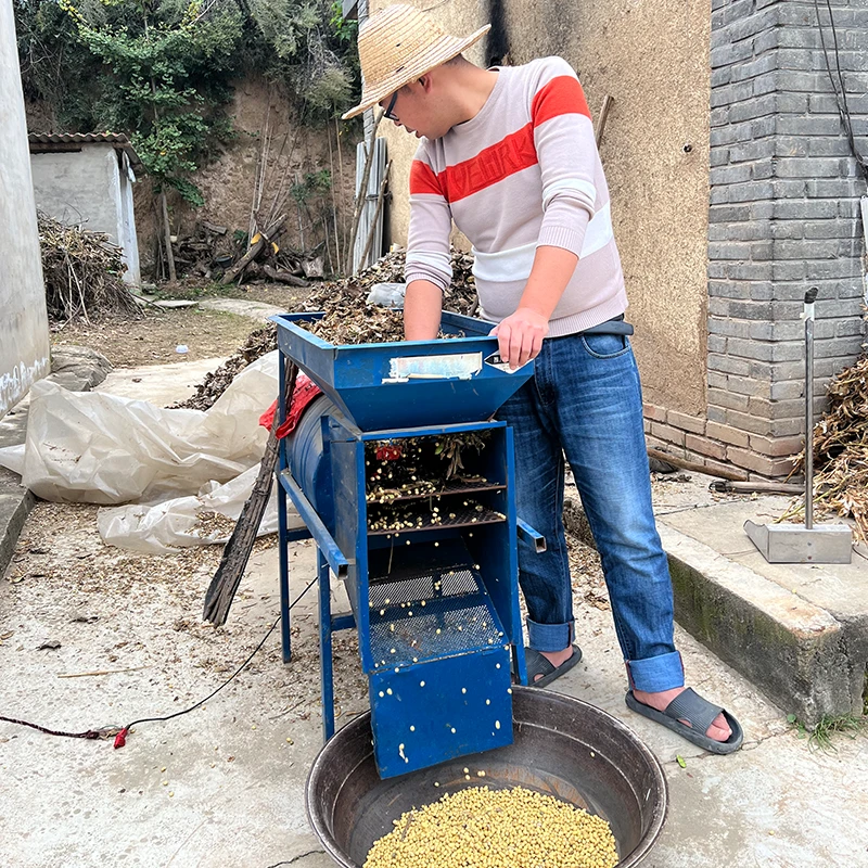 陇臻日记成县特产当季新品农家自种黄豆杂粮可生豆芽菜打豆浆专用