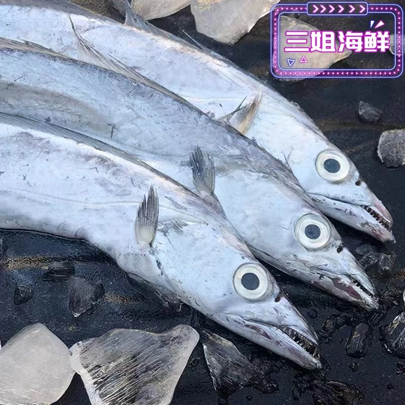 【年终大促】东海野生本地大带鱼海鲜 (规格重量以直播间为准)