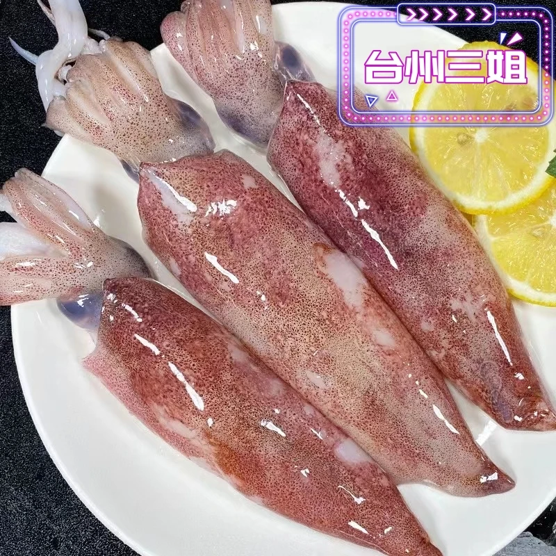《台州三姐》浙江东海鲜活捕捞野生鱿鱼海鲜4斤顺丰包邮