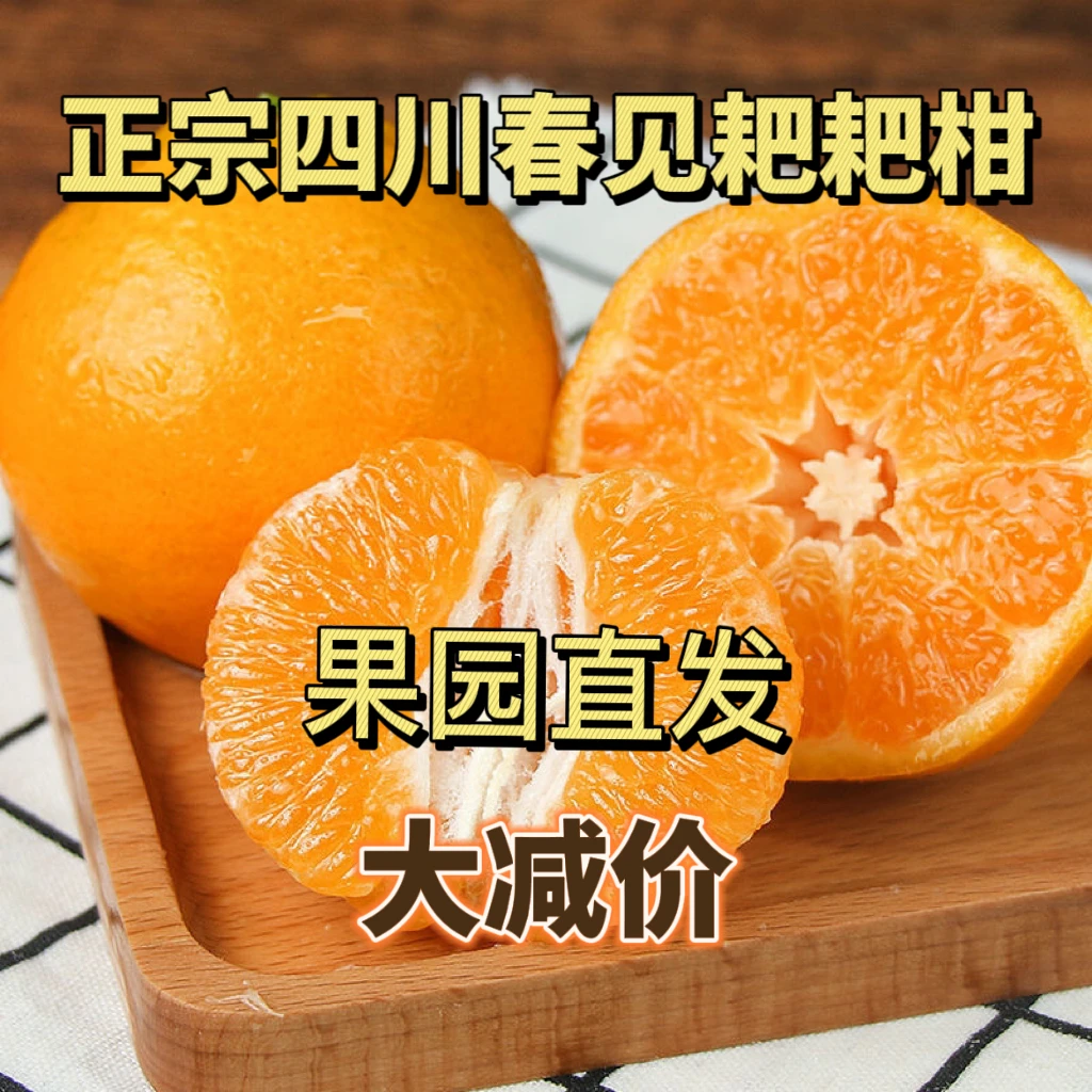 春见精品四川春见耙耙柑橘子甜桔整箱水果耙耙柑5-10斤新鲜汁水