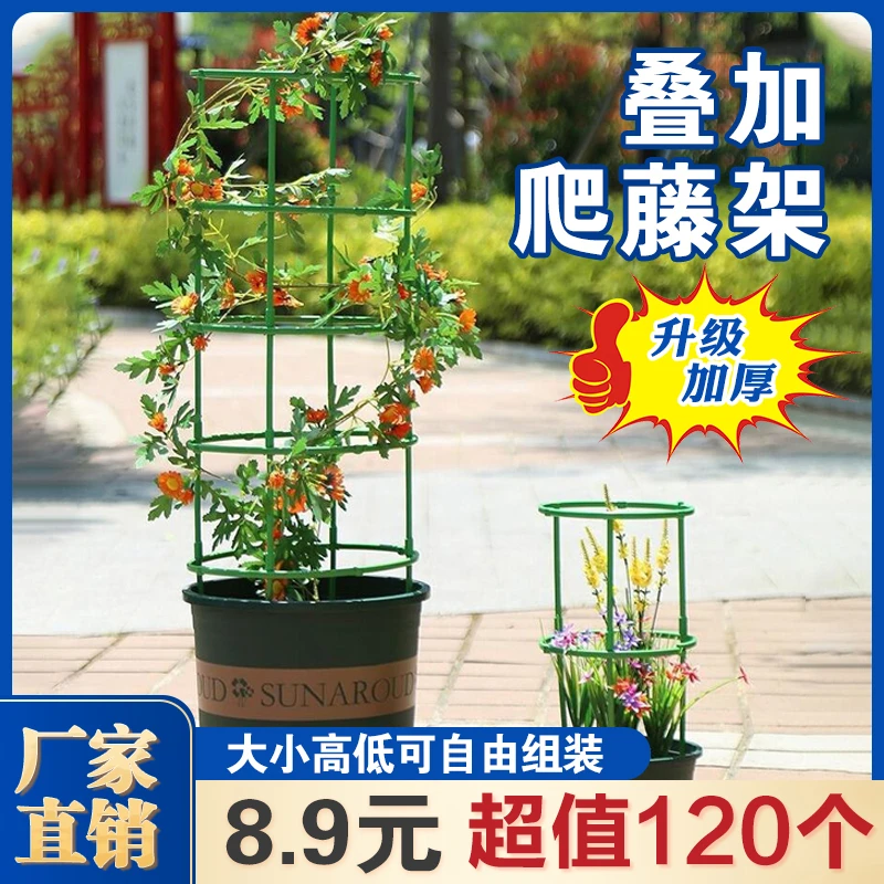 【8.9元120个】自由拼接花架支架支撑圈 防倒伏 爬藤架
