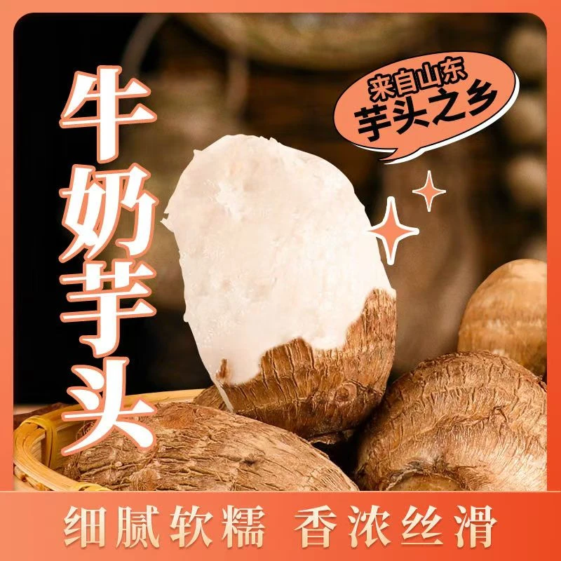 山东沂蒙山牛奶芋头新鲜现挖软糯粉香应季蔬菜农家自种坏果包赔