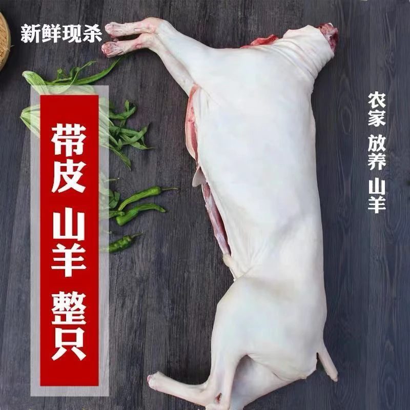 苏北本地现宰带皮小山羊