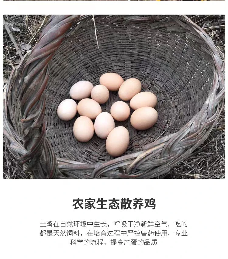 土鸡蛋柴鸡蛋枚农家山林散养五谷杂粮虫草笨鸡蛋新鲜老家散装直供