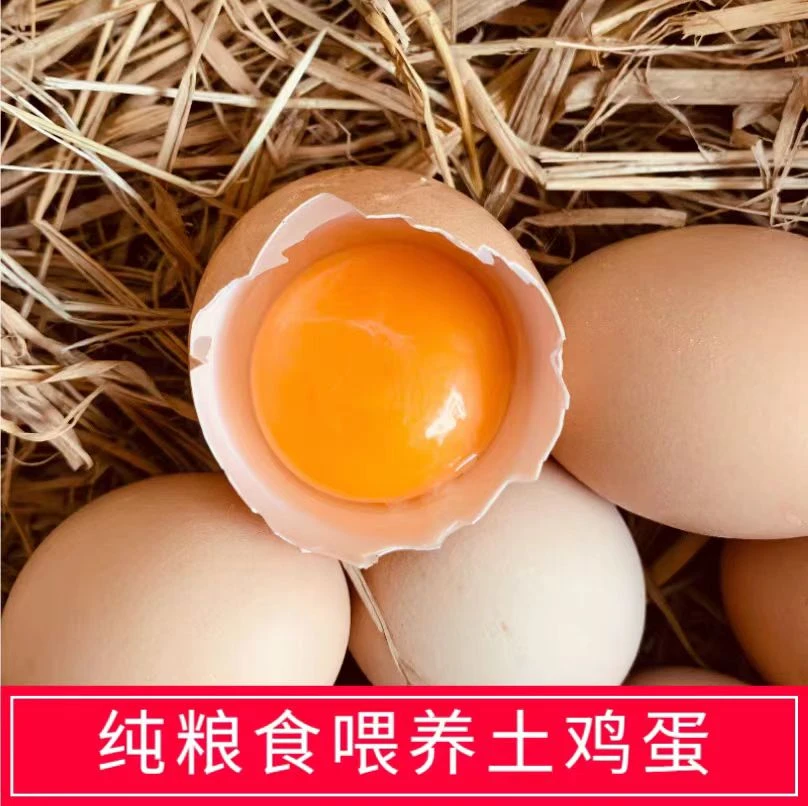 老家新鲜农村林下笨鸡蛋枚散养土鸡蛋自养草鸡蛋生鸡蛋柴鸡蛋整箱