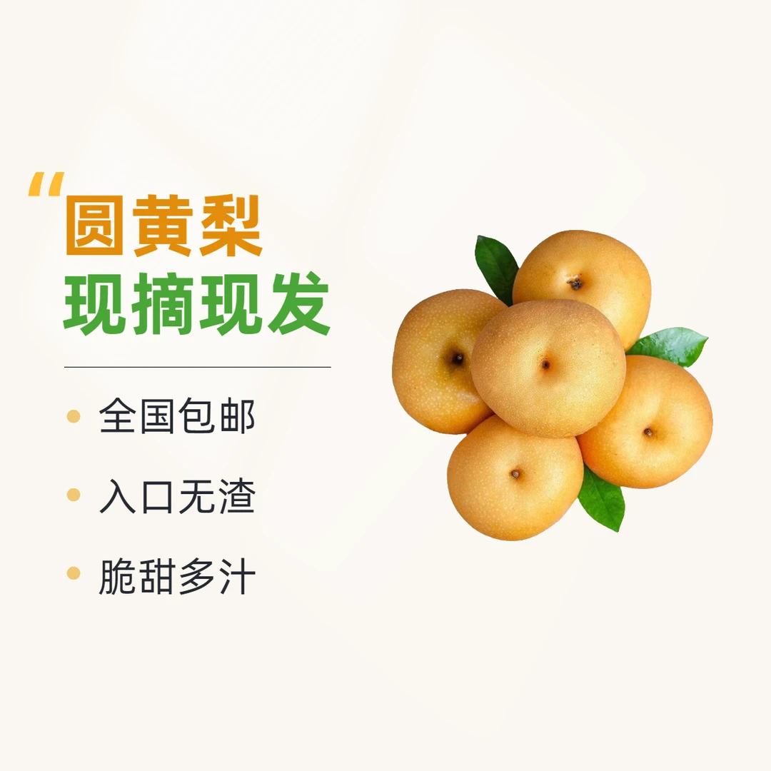 2024现摘圆黄金蜜梨脆甜多汁酥脆好吃入口无渣自然成熟5斤/箱包邮