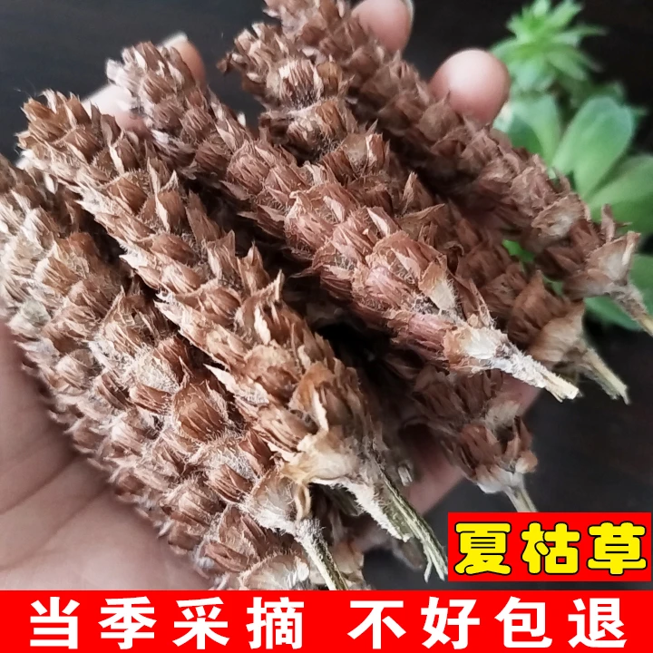 夏枯草中药材白毛夏古草2024新货夏苦草叶泡茶泡水夏枯球