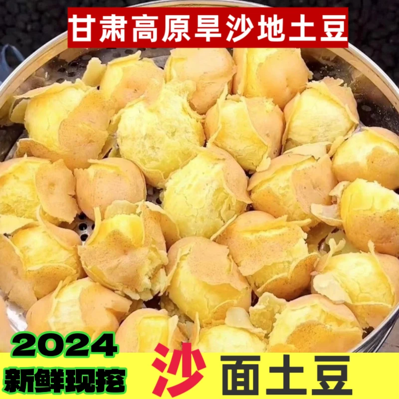【高原旱沙地会开花土豆10斤】2024新鲜甘肃高原土豆马铃薯沙面