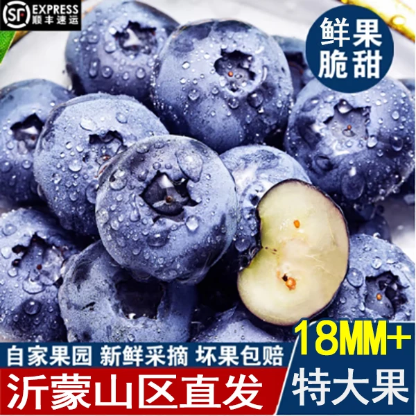 蓝莓特大果18mm饱满爽口爆汁孕婴辅食100g/盒新鲜采摘当日发顺丰