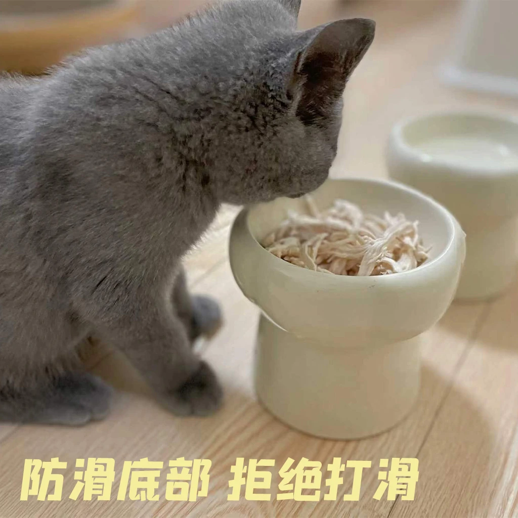 猫咪护颈碗高颜值花瓣高脚宠物碗可爱家用陶瓷饭碗饮水碗猫狗通用