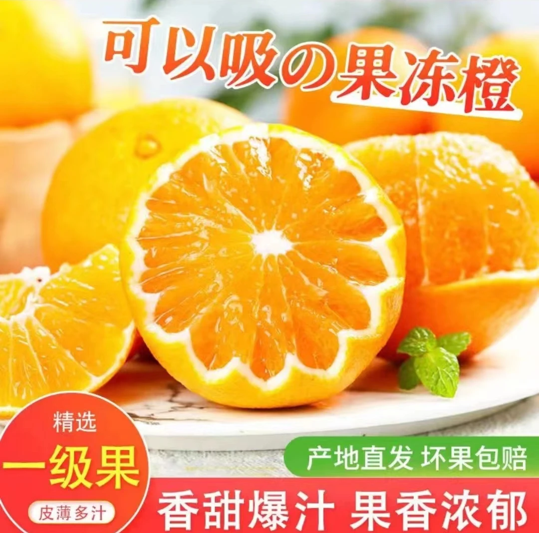 【果冻橙】新鲜应季水果现摘自然大果皮薄香甜多汁橙香甜细腻可口