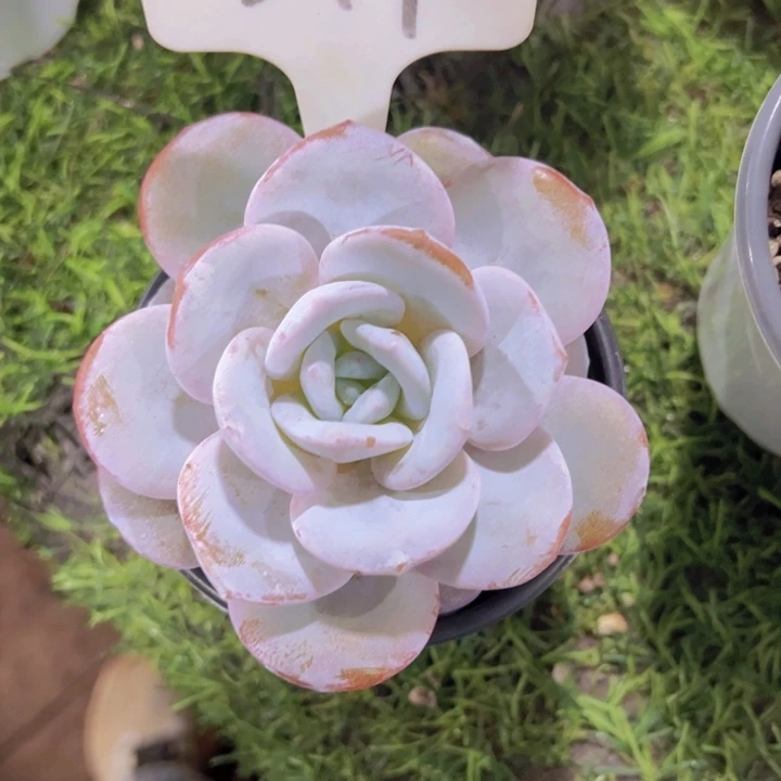 健健康康平平安安