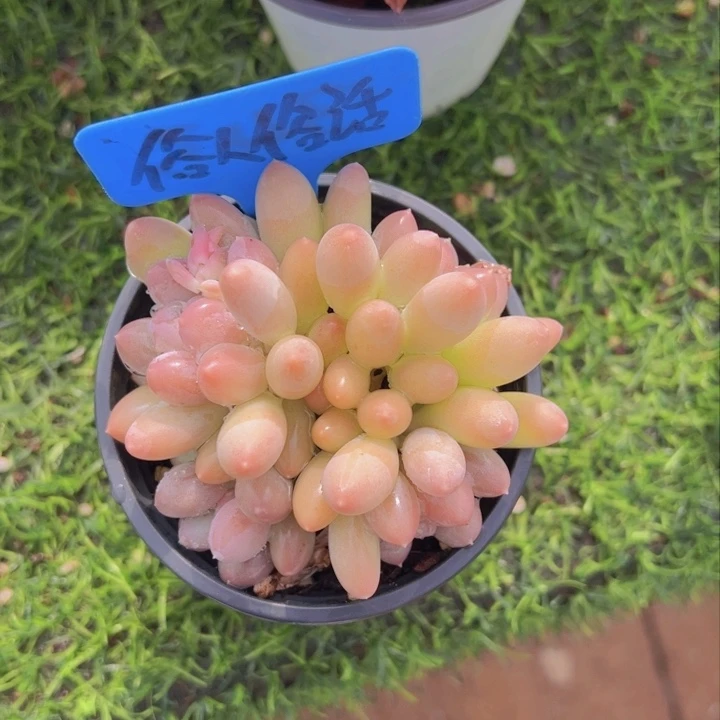 健健康康平平安安