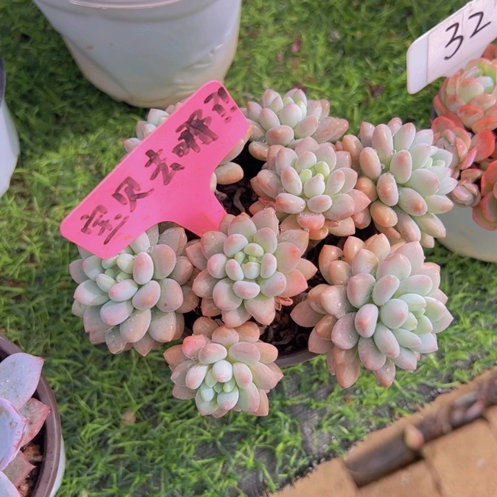 健健康康平平安安