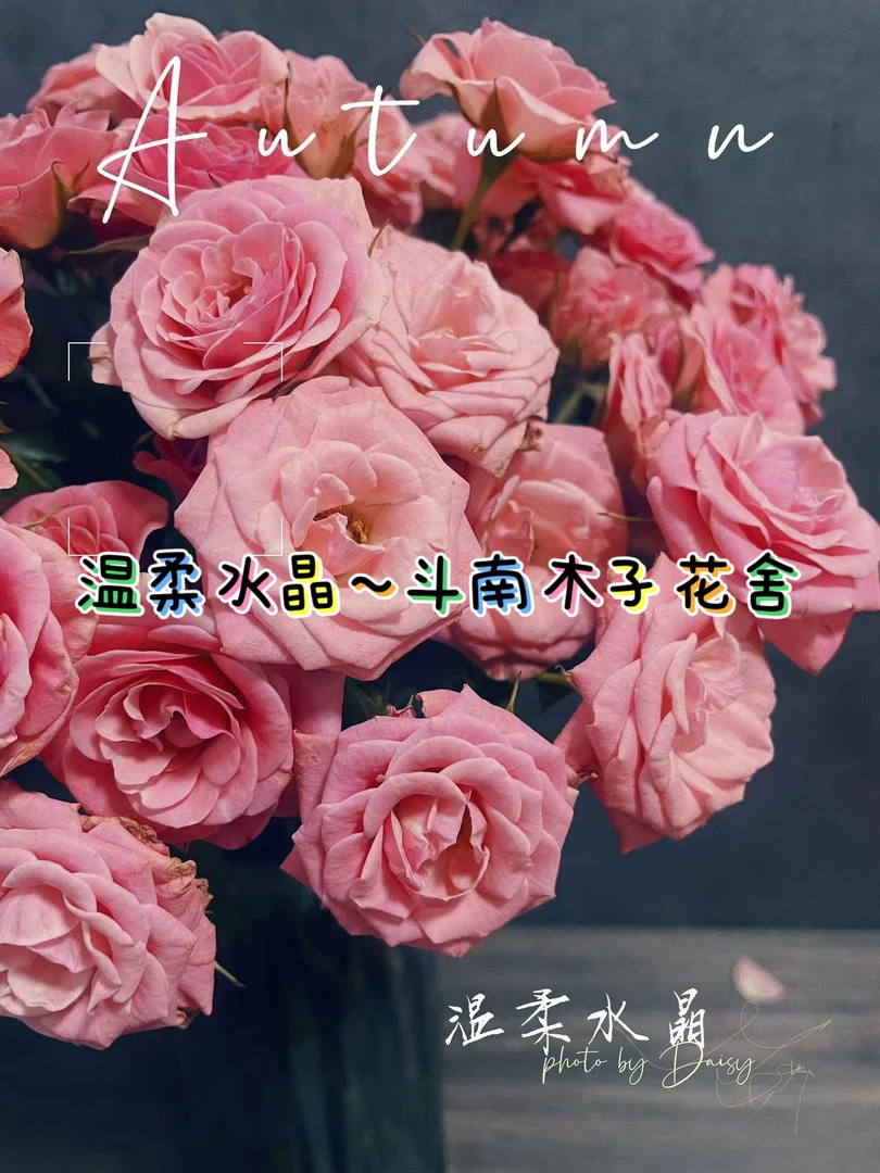 [温柔水晶]玫瑰一单不发货！！