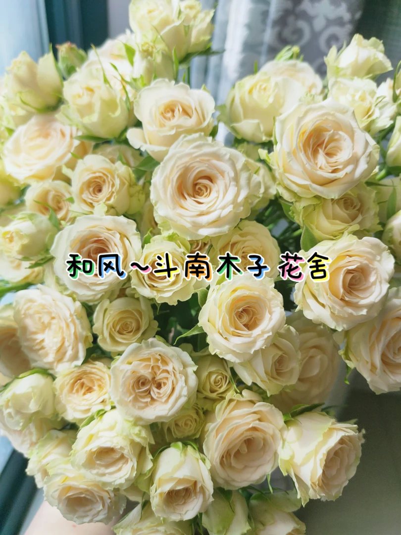 [和风]玫瑰一单不包邮！！
