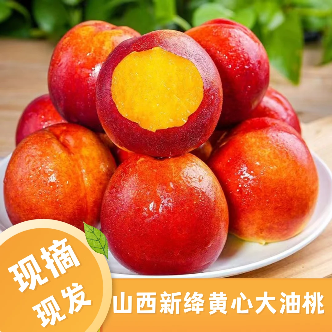 【卿新自营 】卡丽娜推荐山西黄心油桃