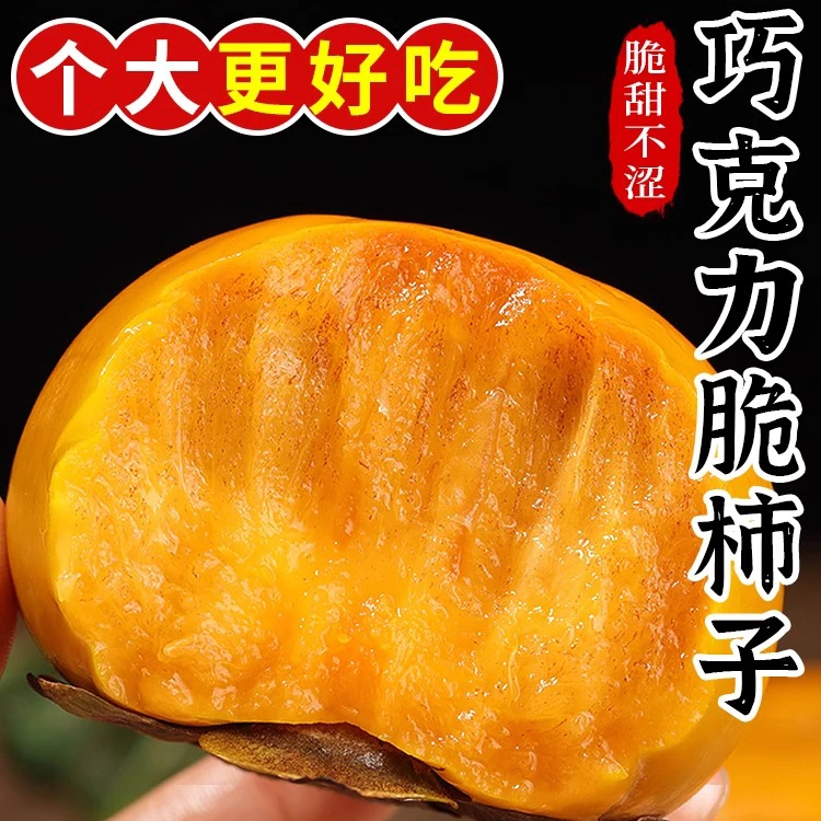 桐庄园甜脆柿子阳丰脆柿5斤装巧克力柿子冰糖心甜柿子无核硬柿子