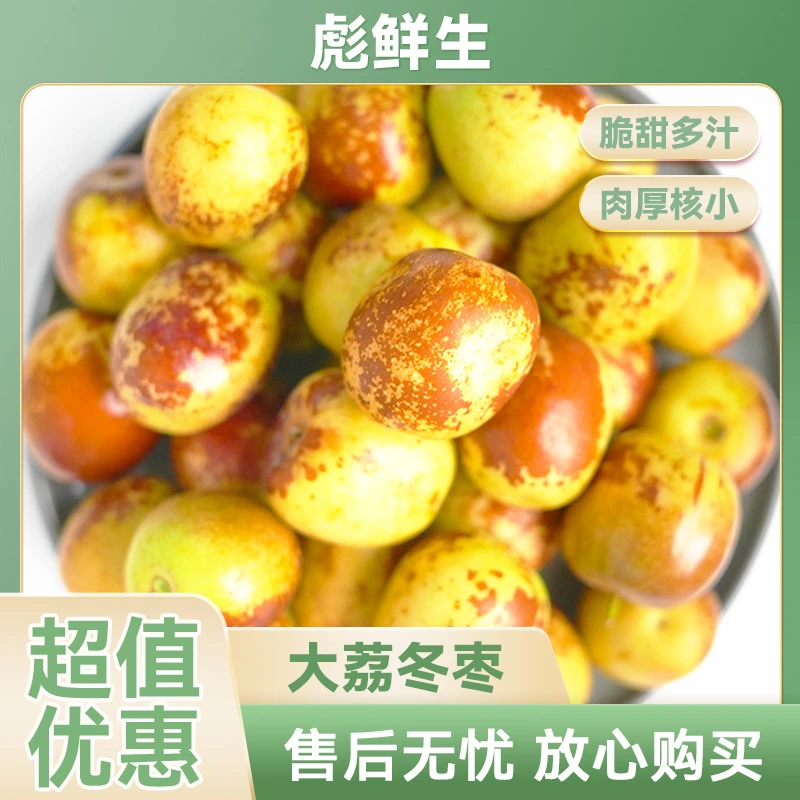 陕西大荔冬枣 净重3斤脆枣当季香甜枣子现摘现发新鲜皮薄爽口T