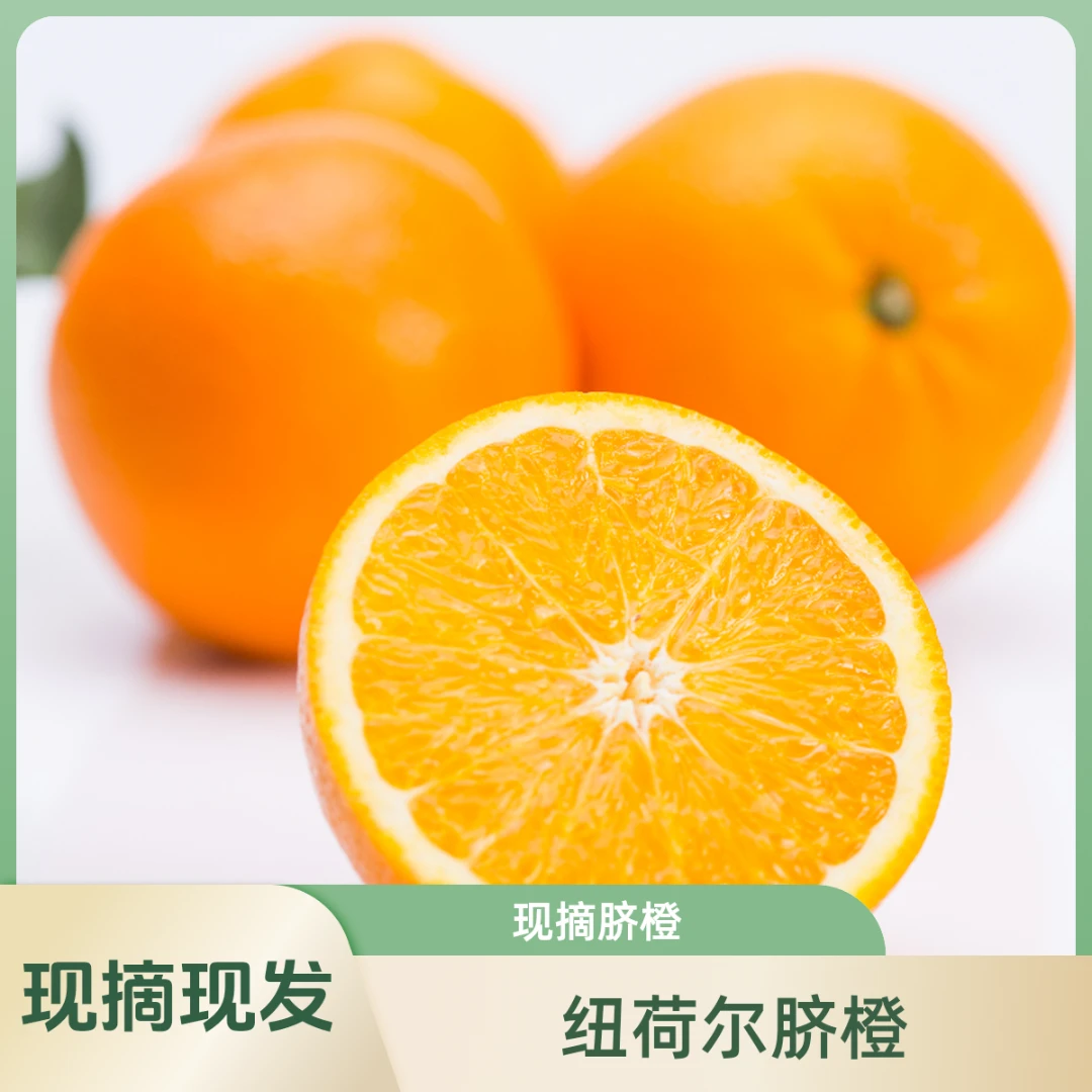 【现摘高山脐橙】纽荷尔脐橙新鲜采摘水果 橙子带箱5斤60-70mm