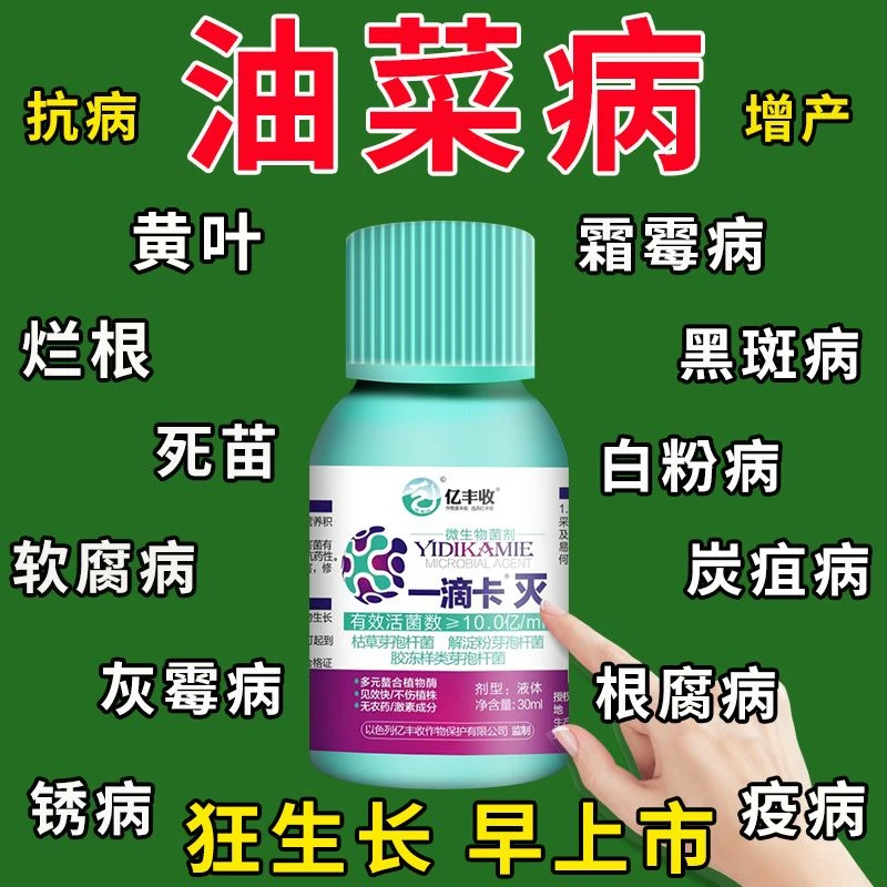 油菜专用药油菜病全治烂根黄叶菌核病软腐病霜霉病灰霉专用杀菌剂